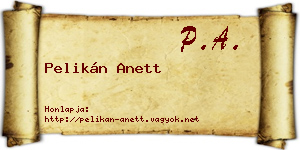 Pelikán Anett névjegykártya